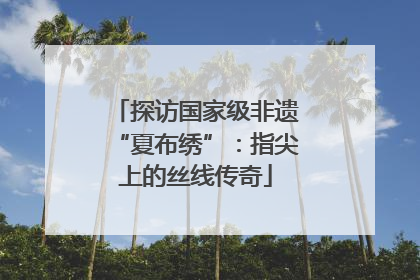 探访国家级非遗“夏布绣”：指尖上的丝线传奇