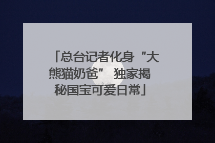 总台记者化身“大熊猫奶爸” 独家揭秘国宝可爱日常