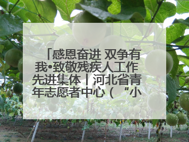 感恩奋进 双争有我•致敬残疾人工作先进集体丨河北省青年志愿者中心（“小橘灯”助残接力计划实施团队）：用温暖陪伴，守护特殊孩子成长