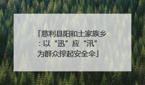 慈利县阳和土家族乡：以“迅”应“汛” 为群众撑起安全伞