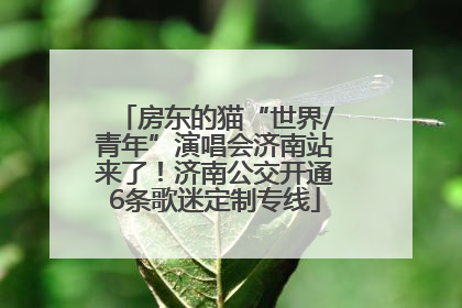 房东的猫“世界/青年”演唱会济南站来了！济南公交开通6条歌迷定制专线