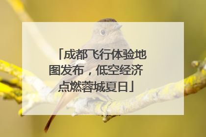 成都飞行体验地图发布，低空经济点燃蓉城夏日
