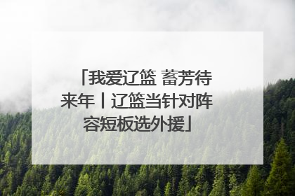 我爱辽篮 蓄芳待来年丨辽篮当针对阵容短板选外援