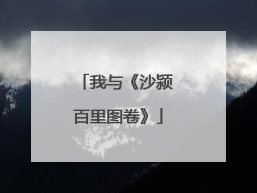 我与《沙颍百里图卷》