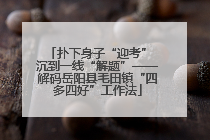 扑下身子“迎考” 沉到一线“解题”——解码岳阳县毛田镇“四多四好”工作法