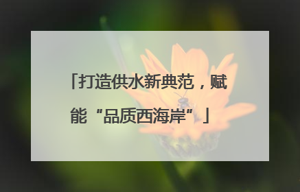 打造供水新典范，赋能“品质西海岸”