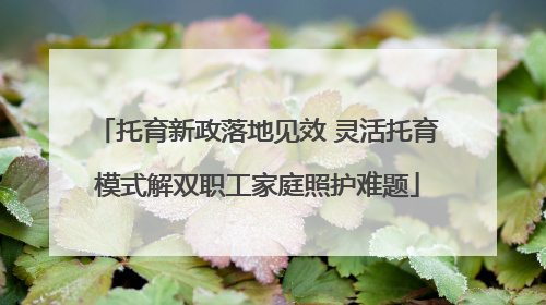 托育新政落地见效 灵活托育模式解双职工家庭照护难题