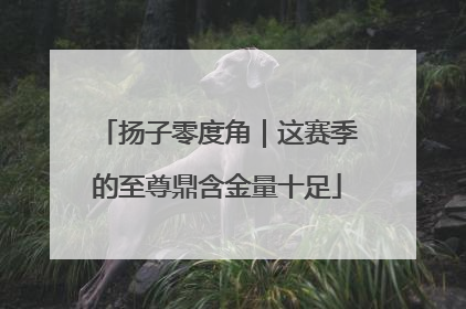 扬子零度角｜这赛季的至尊鼎含金量十足