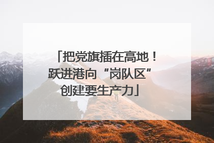 把党旗插在高地！跃进港向“岗队区”创建要生产力