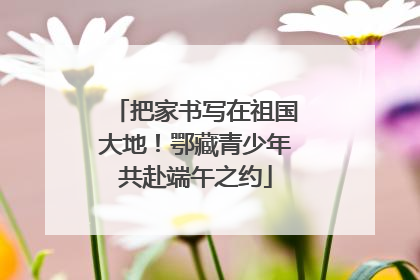把家书写在祖国大地！鄂藏青少年共赴端午之约