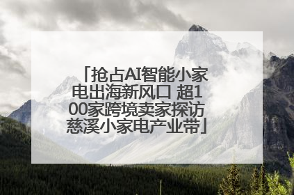 抢占AI智能小家电出海新风口 超100家跨境卖家探访慈溪小家电产业带