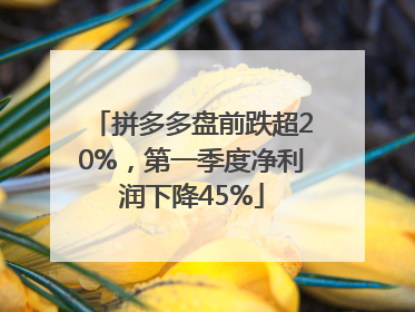 拼多多盘前跌超20%，第一季度净利润下降45%