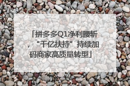 拼多多Q1净利腰斩，“千亿扶持”持续加码商家高质量转型