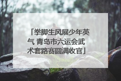 拳脚生风展少年英气 青岛市六运会武术套路赛圆满收官
