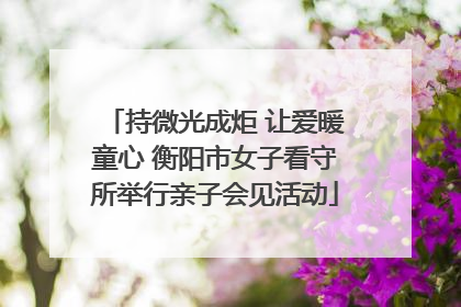 持微光成炬 让爱暖童心 衡阳市女子看守所举行亲子会见活动