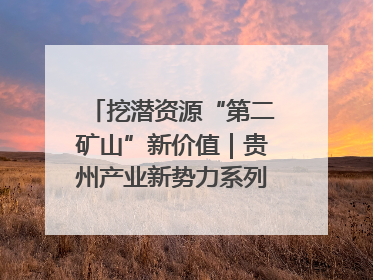 挖潜资源“第二矿山”新价值｜贵州产业新势力系列报道之十四