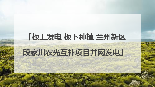板上发电 板下种植 兰州新区段家川农光互补项目并网发电