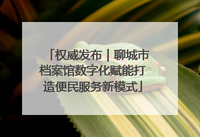 权威发布｜聊城市档案馆数字化赋能打造便民服务新模式