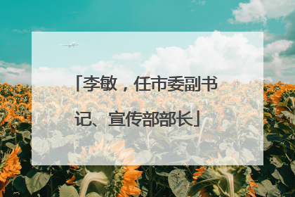 李敏，任市委副书记、宣传部部长