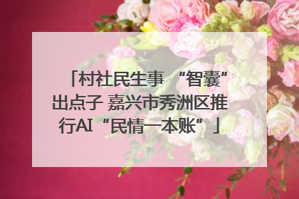 村社民生事 “智囊”出点子 嘉兴市秀洲区推行AI“民情一本账”