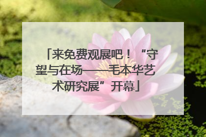 来免费观展吧！“守望与在场——毛本华艺术研究展”开幕