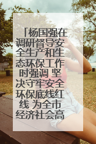 杨国强在调研督导安全生产和生态环保工作时强调 坚决守牢安全环保底线红线 为全市经济社会高质量发展提供坚强保障