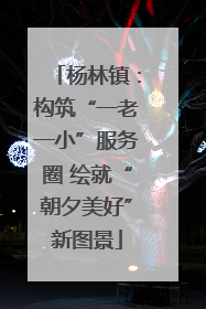 杨林镇：构筑“一老一小”服务圈 绘就“朝夕美好”新图景