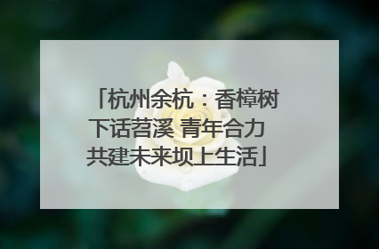 杭州余杭：香樟树下话苕溪 青年合力共建未来坝上生活