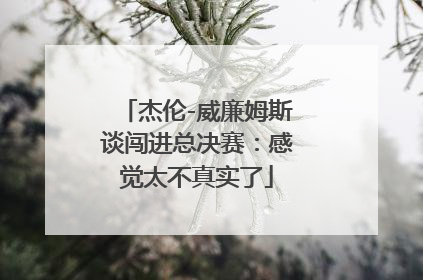 杰伦-威廉姆斯谈闯进总决赛：感觉太不真实了
