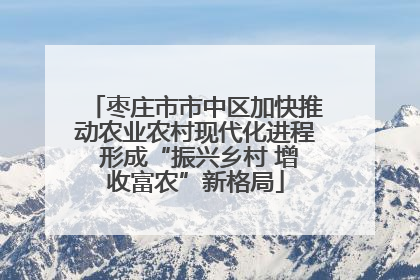 枣庄市市中区加快推动农业农村现代化进程 形成“振兴乡村 增收富农”新格局