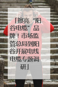 擦亮“阳谷电缆”品牌！市场监管总局到阳谷开展电线电缆专题调研