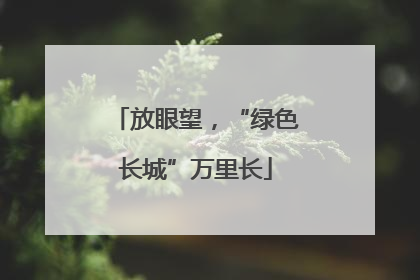 放眼望，“绿色长城”万里长
