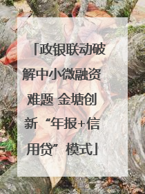 政银联动破解中小微融资难题 金塘创新“年报+信用贷”模式
