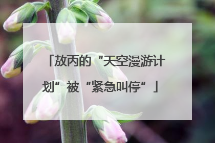 敖丙的“天空漫游计划”被“紧急叫停”