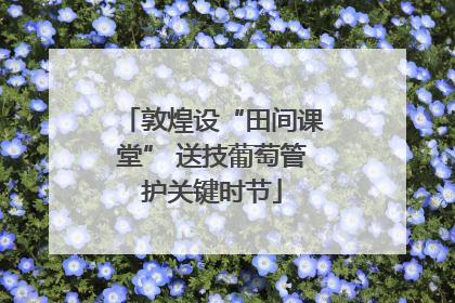 敦煌设“田间课堂” 送技葡萄管护关键时节