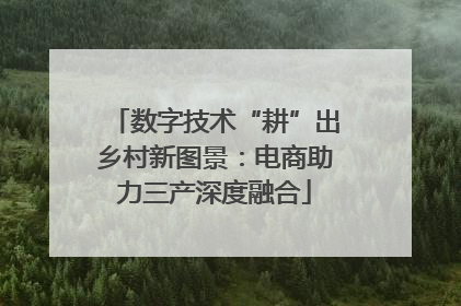 数字技术“耕”出乡村新图景：电商助力三产深度融合