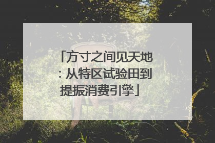 方寸之间见天地：从特区试验田到提振消费引擎