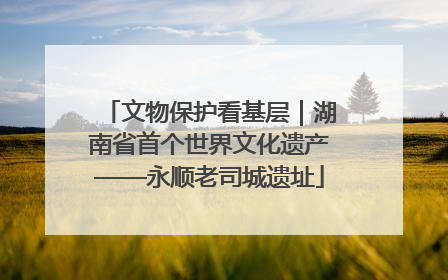 文物保护看基层｜湖南省首个世界文化遗产——永顺老司城遗址