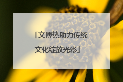 文博热助力传统文化绽放光彩