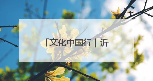 文化中国行｜沂蒙老区“守艺人”的文化匠心