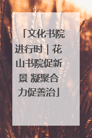 文化书院进行时｜花山书院促新景 凝聚合力促善治
