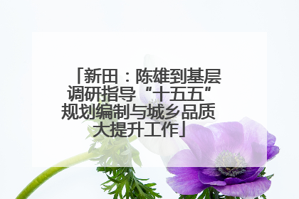 新田：陈雄到基层调研指导“十五五”规划编制与城乡品质大提升工作