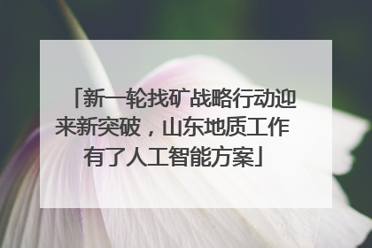 新一轮找矿战略行动迎来新突破，山东地质工作有了人工智能方案