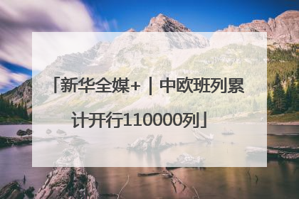 新华全媒+｜中欧班列累计开行110000列