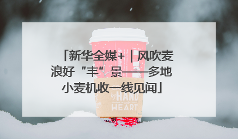新华全媒+｜风吹麦浪好“丰”景——多地小麦机收一线见闻