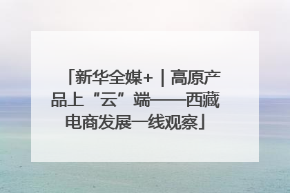 新华全媒+｜高原产品上“云”端——西藏电商发展一线观察