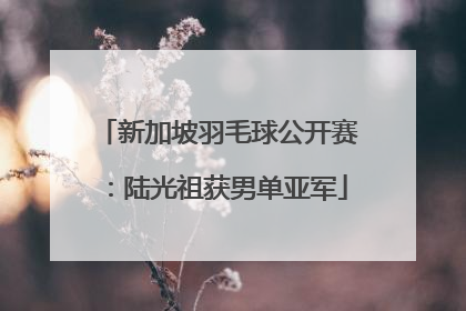 新加坡羽毛球公开赛：陆光祖获男单亚军