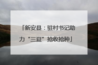 新安县：驻村书记助力“三夏”抢收抢种