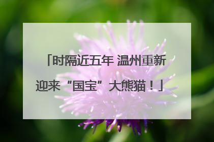 时隔近五年 温州重新迎来“国宝”大熊猫！