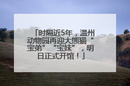 时隔近5年，温州动物园再迎大熊猫“宝弟”“宝妹”，明日正式开馆！